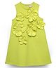 Spunkies Sleeveless Floral Applique Detailed Dress - Lime