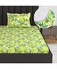 Divine Casa 144 TC 100% Cotton Floral Green Lightweight Single Bedsheet With Elastic Fitted - 198 x 90 CM