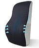 Sleepsia Cooling Gel Memory Foam Lumbar Support - Orthopedic Back Cushion | Back Rest for Car and Office Chair | Back Pain Relief Spine Alignment Sitting Pillow with Removable Cover (Black/Grey)