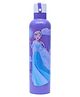 Disney by Gluman Frozen Stainless Steel Double Walled Mizu  Water Bottle Purple - 750 ml- Steel Water Bottle