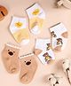 Kicks & Crawl Cotton Pack of 3 Striped & Bear Printed Flat Socks - Beige & Multi Colour