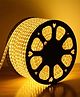 FLAZE 5 Meter Rope Led Strip Lights  Outdoor Lights Waterproof for Balcony Decoration,Home Decor & Interior Decoration | Decorative Lights for Diwali Decoration,Cove Light for Ceiling -(color may vary)