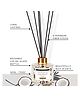 Soul & Scents Coconut Fragrance 120 ml Reed Diffuser Set of 2 with 12 reed sticks