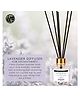 Soul & Scents Lavender Fragrance 120 ml Reed Diffuser Set of 2 with 12 reed sticks