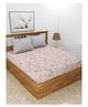 UrbanArts 400TC Luxury Glace Cotton King Size Bedsheet with 2 Pillow Covers - Peach Printed