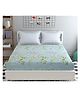 UrbanArts 400TC Luxury Glace Cotton King Size Bedsheet with 2 Pillow Covers - Pista Printed