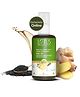 Lotus Botanical Ginger Root & Black Seed Dandruff Control Hair Oil - 100 ml