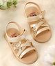 Kicks & Crawl Butterfly Applique Detailed Sandals - Gold