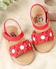 Kicks & Crawl Floral Applique Detailed Sandals - Red