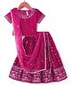 Babyhug Woven Half Sleeves Velvet Sequin Embroidered Choli & Lehenga Set with Dupatta - Dark Pink