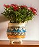 Ecofynd  Ceramic Plant Pots, Clay Flower Pot with Drainage Hole, Decorative Modern Indoor Planters - Pack of 1