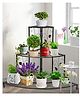 Ecofynd Zen Heavy Duty Metal Folding Plant Stand for Indoor and Outdoor, 3 Tier Flower Pot Holder Shelf for Multi Plants - Black