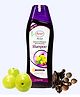 Ayur Herbals Amla & Shikakai Shampoo with Reetha I Dandruff ,Hair Fall & Greying I For Long & Strong Hair I Pack 2-500ml