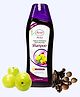 Ayur Herbals  Amla & Shikakai Shampoo with Reetha I Dandruff ,Hair Fall & Greying I Long & Strong Hair I Pack of 1-1000ml