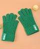 Pine Kids Pair of Winter Gloves with Text Patch- Green