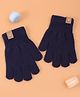 Pine Kids Pair Of Winter Gloves With Bear Patch - Navy Blue