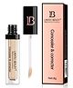Lakyou Beauty Concealer and Corrector
