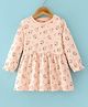 Cucumber Cotton Knit Full Sleeves Frock with Bunny & Floral Print - Peach