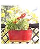 Ecofynd Oval Aurelia Plant Pots for Balcony