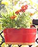 Ecofynd Oval Aurelia Hanging Plant Pots-Pack of 3(Red)