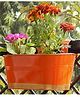 Ecofynd Oval Aurelia Hanging Plant Pots-Pack of 3( Orange)