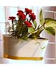 Ecofynd Oval Aurelia Hanging Plant Pots-Pack of 3(White)