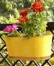 Ecofynd Oval Aurelia Hanging Plant Pots-Pack of 3(Yellow)