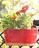 Ecofynd Oval Aurelia Hanging Plant Pots -Pack of 6 (Red)