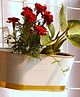 Ecofynd Oval Aurelia Hanging Plant Pots -Pack of 6 (White)