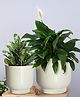 Ecofynd White Eva Metal Plant Pots with Drainage Hole