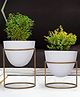 Ecofynd  Alle Metal Plant Pot with Stand