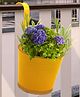 Ecofynd Halley Round Balcony Hanging Pots for Railing