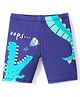 Bosky Swimwear Dino Print Swimming Trunk - Multicolor