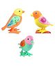 AKN TOYS Colorful Key Wind up Sparrow Toys for Kids Pack of- 1(Color May Vary)