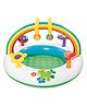 Bestway Inflatable Rainbow Go and Grow Activity Gym for Infants Inflatable Swimming Pool Inflatable Pool Accessory (Multicolor)