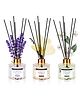Soul & Scents Lavender, Vanilla & Jasmine Fragrance  Reed Diffuser Set of 3 with 18 Reed Sticks - 120 ml