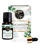 Soul & Scents Natural Eucalyptus Essential Oil (10 ml) for Health, Aroma