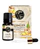 Soul & Scents Natural Ginger Essential Oil (10 ml) for Health, Aroma