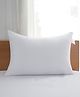 PumPum  Pack of 1 Microfiber Pillows for Ultimate Comfort
