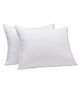 PumPum  Pack of 2 Microfiber Pillows for Ultimate Comfort