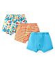 babyhug 100% Cotton Knit Trunks with Stripes & Tropical Theme Print Pack of 3 - Blue & Orange