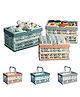 YAMAMA Foldable Portable Picnic Basket Vegetable Fruit Basket Supermarket Portable Shopping Basket Storage Box Bathroom Bedroom Kitchen Office Organization And Storage Essential  (Pack of 2  Color May Vary)