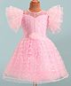 Bluebell Net Woven Frill Sleeves Floral Embroidered Party Frock with Applique - Pink