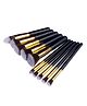 Favon 10 Pcs Set of Professional Makeup Brushes (Color May vary)