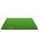 INPOUT 25MM High Density Artificial Grass Carpet For Balcony/Lawn/Door(L 60 x B 40 cm)