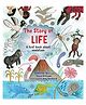 The Story of Life Story Book By Catherine Barr- English