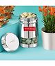 HAZEL Stainless Steel See Through Transparent Container | Kitchen Air Tight Storage Dabba, 600 ml