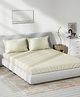 DDecor Beige Cotton 180 TC King Bedsheet With 2 Pillow Covers