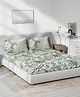 DDecor Off White  Blue Floral 144 TC Queen Bedsheet with 2 Pillow Covers