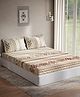 DDecor Beige Orange Ethnic Motifs Cotton 144 TC Queen Bedsheet With 2 Pillow Covers